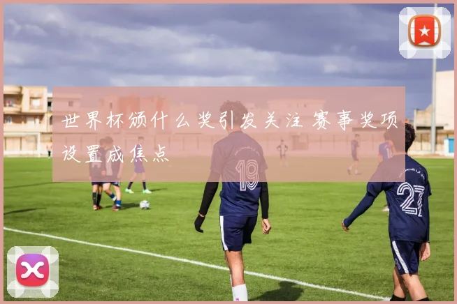 世界杯颁什么奖引发关注 赛事奖项设置成焦点