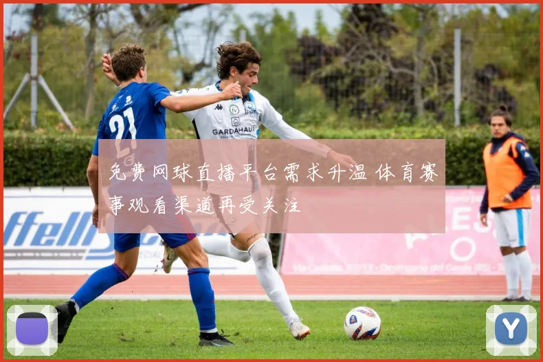 免费网球直播平台需求升温 体育赛事观看渠道再受关注