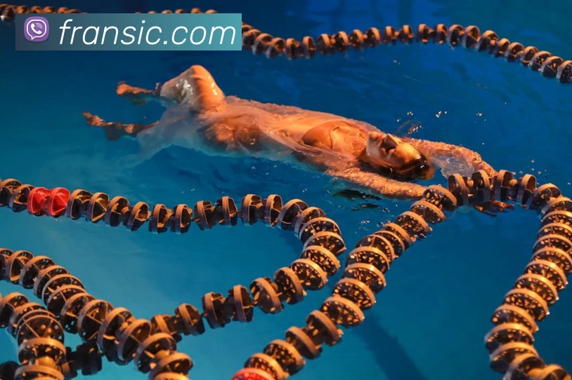 App Interface Preview