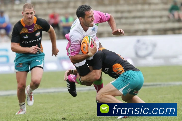 开云手机在线登录界面APP 封面图